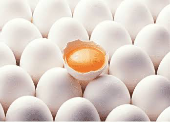 Eggs